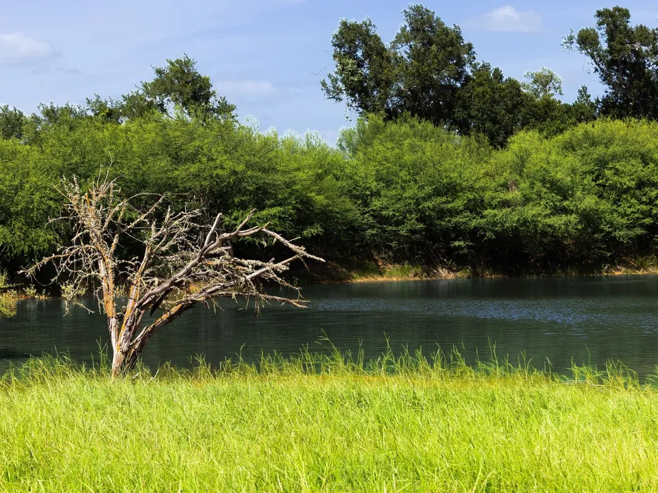 Brazos Sands Ranch | 1,136.26-Acre Luxury Ranch, Hunting & Recreational Land in Calvert, Texas