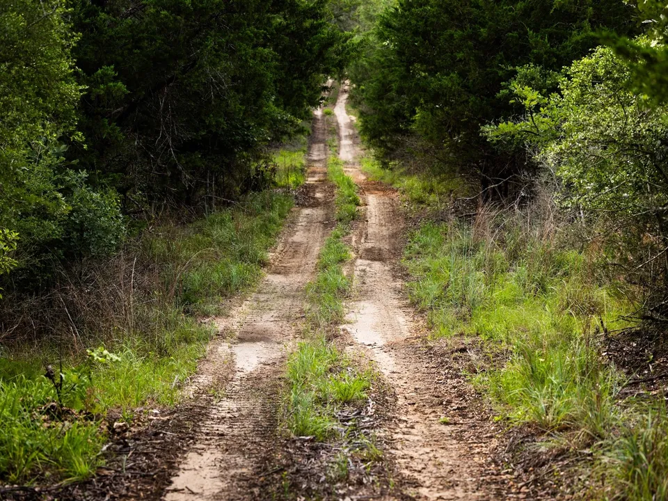 Brazos Sands Ranch | 1,136.26-Acre Luxury Ranch, Hunting & Recreational Land in Calvert, Texas