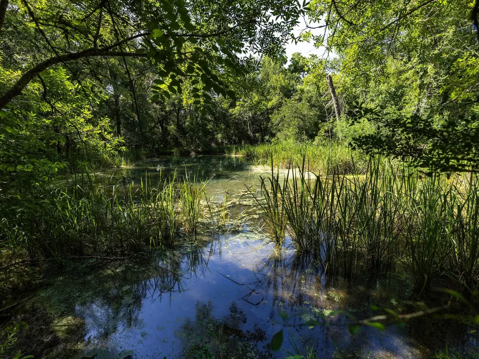 Brazos Sands Ranch | 1,136.26-Acre Luxury Ranch, Hunting & Recreational Land in Calvert, Texas