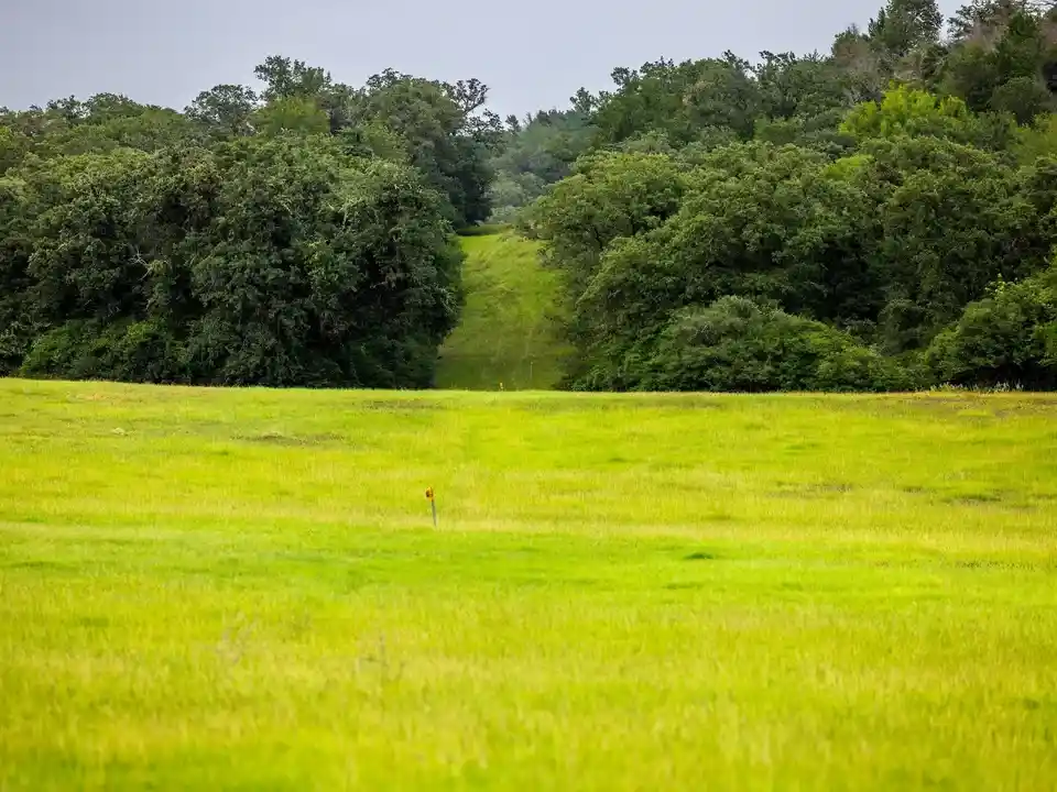 Brazos Sands Ranch | 1,136.26 Acres Ranch for Sale in Robertson County, Texas