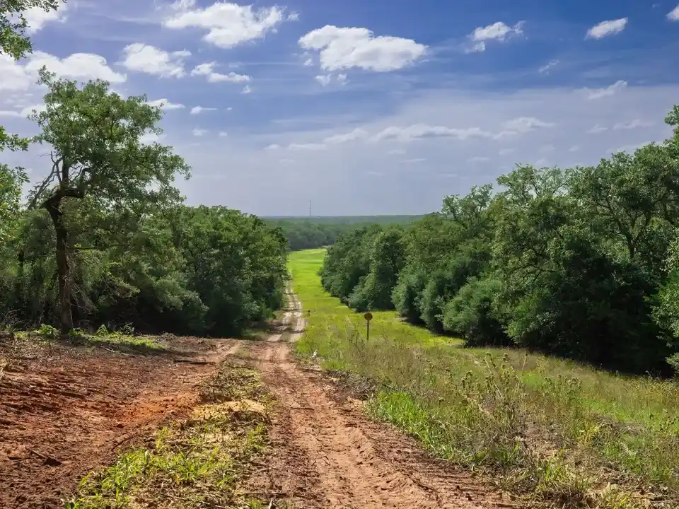 Brazos Sands Ranch | 1,136.26 Acres Ranch for Sale in Robertson County, Texas
