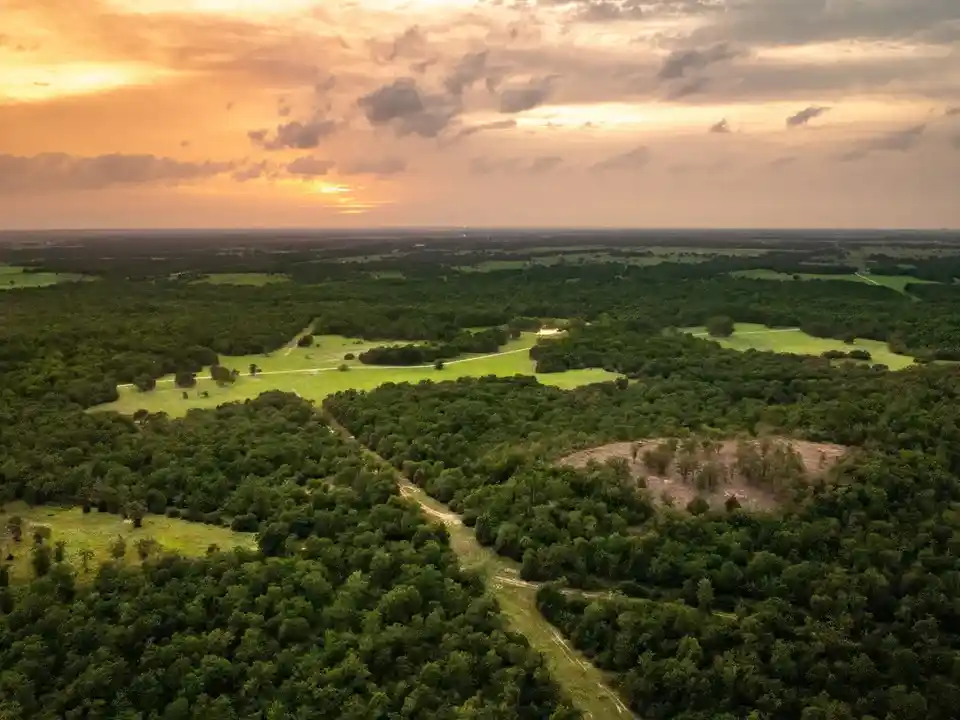 Brazos Sands Ranch | 1,136.26 Acres Ranch for Sale in Robertson County, Texas