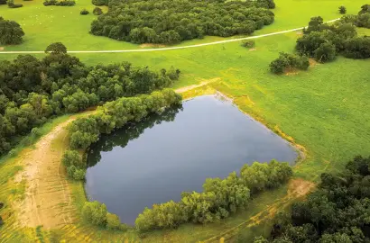 Brazos Sands Ranch | 1,136.26 Acres Ranch for Sale in Robertson County, Texas