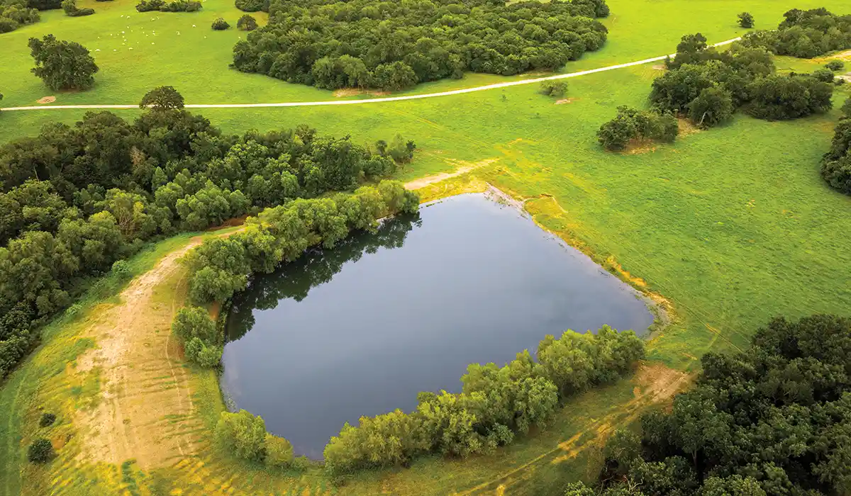 Brazos Sands Ranch | 1,136.26 Acres Ranch for Sale in Robertson County, Texas