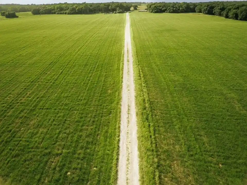 Brazos Sands Ranch | 1,136.26 Acres Ranch for Sale in Robertson County, Texas