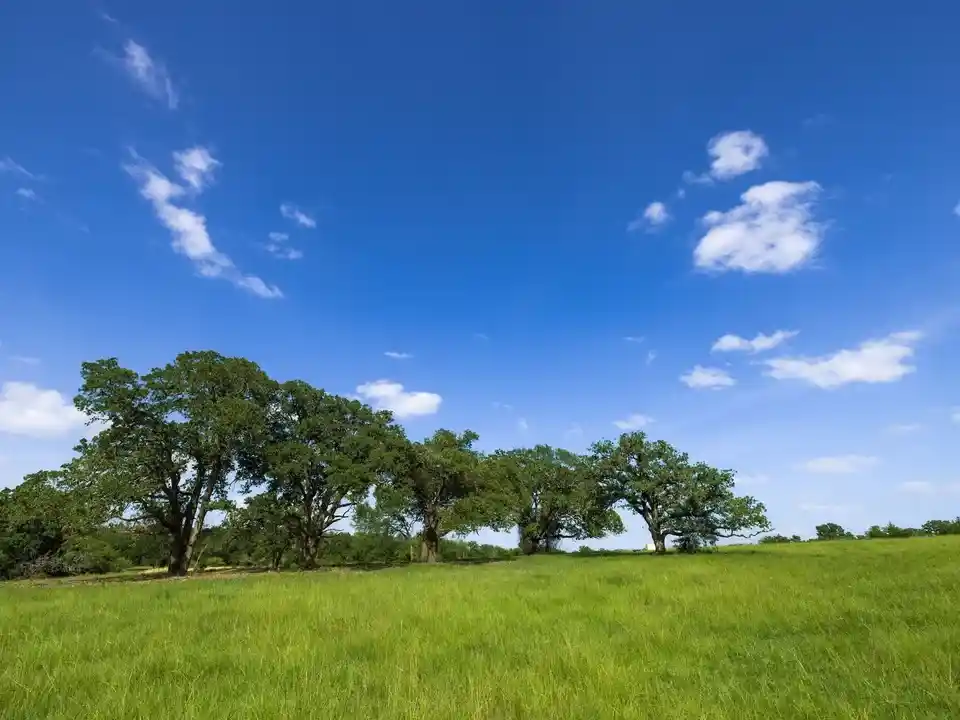 Brazos Sands Ranch | 1,136.26 Acres Ranch for Sale in Robertson County, Texas