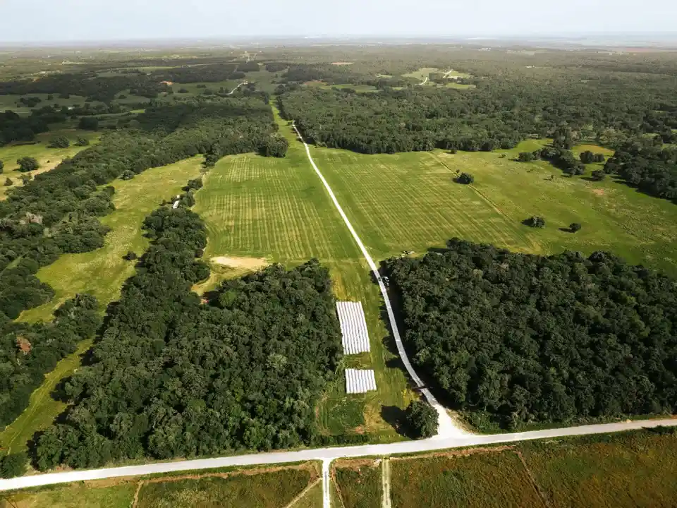 Brazos Sands Ranch | 1,136.26 Acres Ranch for Sale in Robertson County, Texas