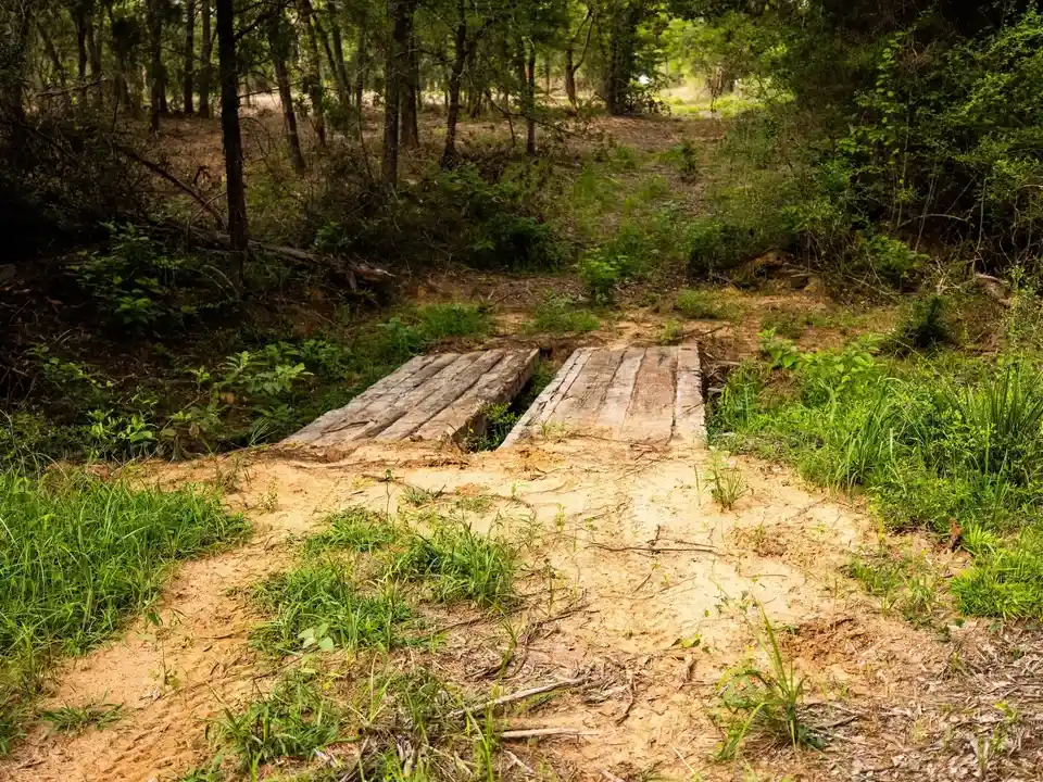 Brazos Sands Ranch | 1,136.26 Acres Ranch for Sale in Robertson County, Texas