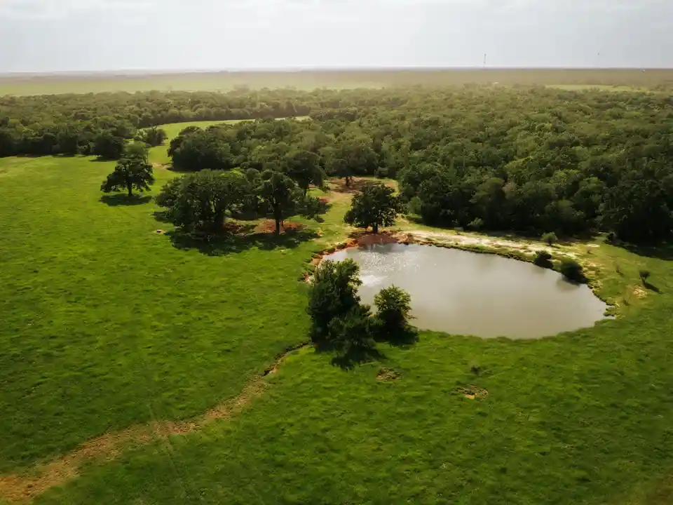 Brazos Sands Ranch | 1,136.26 Acres Ranch for Sale in Robertson County, Texas
