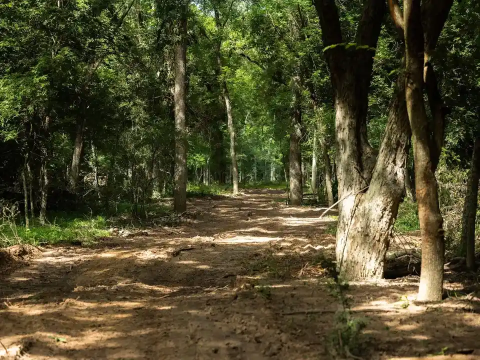 Brazos Sands Ranch | 1,136.26 Acres Ranch for Sale in Robertson County, Texas