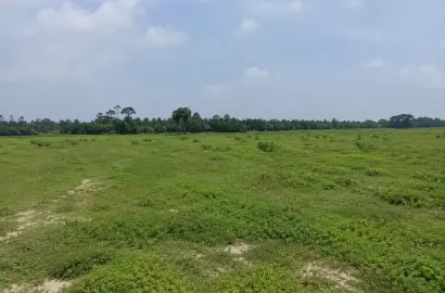 সিংগাইর ভুই দক্ষিণে ১৫০০ শতক মেইন রোড সংলগ্ন বিশাল বাণিজ্যিক ও শিল্প উপযোগী জমি বিক্রয়