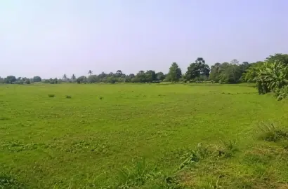 মিরপুর বিসিআইসি কলেজ সংলগ্ন ১২.৫০ (সাড়ে বারো) বিঘা বাণিজ্যিক/আবাসিক উপযোগী জমি বিক্রয় হবে