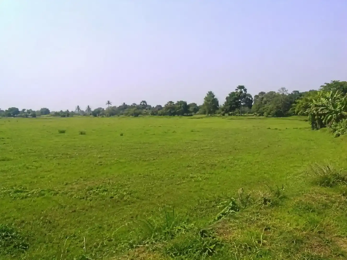 মিরপুর বিসিআইসি কলেজ সংলগ্ন ১২.৫০ (সাড়ে বারো) বিঘা বাণিজ্যিক/আবাসিক উপযোগী জমি বিক্রয় হবে