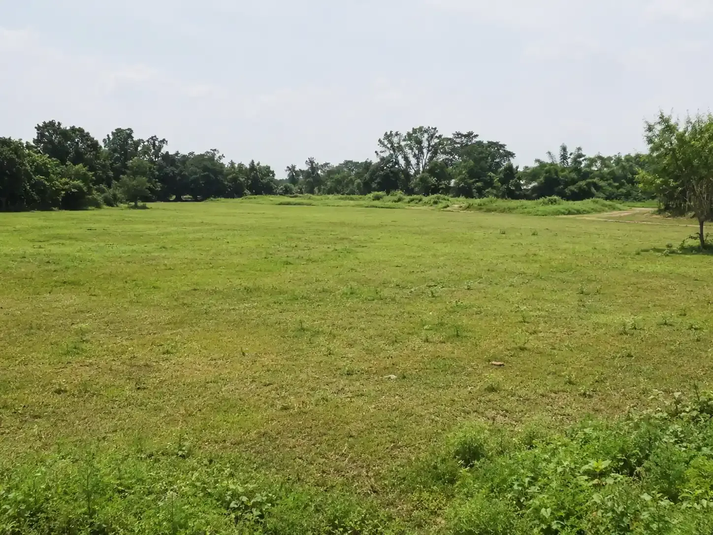 সাভার নিউ মার্কেট সংলগ্ন আরিচা রোডে ১২ বিঘা বাণিজ্যিক জমি বিক্রয়