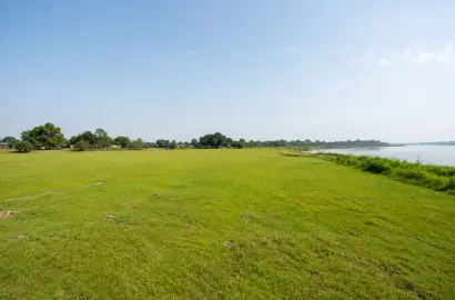সিংগাইর ওয়াইসি রোড সংলগ্ন নদী-সংলগ্ন ২০–৬০ বিঘা জমি বিক্রয়